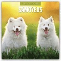 bokomslag Samoyeds 2025 Square Wall Calendar