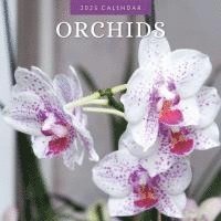 bokomslag Orchids 2025 Square Wall Calendar