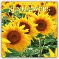 bokomslag Sunflowers 2025 Square Wall Calendar