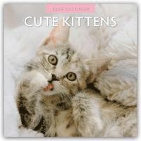 bokomslag Cute Kittens 2026 Square Wall Calendar