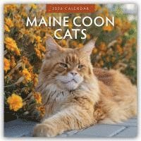 bokomslag Maine Coon Cats 2026 Square Wall Calendar