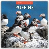bokomslag Puffins 2026 Square Wall Calendar
