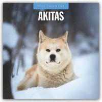 bokomslag Akitas 2026 Square Wall Calendar
