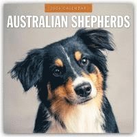 bokomslag Australian Shepherds 2026 Square Wall Calendar