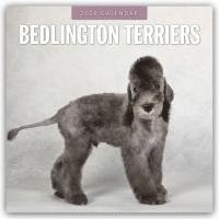 bokomslag Bedlington Terriers 2026 Square Wall Calendar