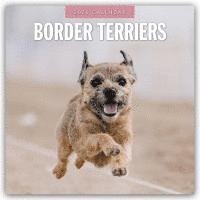 bokomslag Border Terriers 2026 Square Wall Calendar