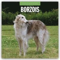 bokomslag Borzois 2026 Square Wall Calendar