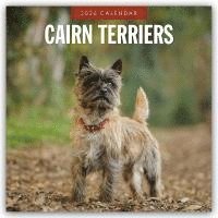 bokomslag Cairn Terriers 2026 Square Wall Calendar