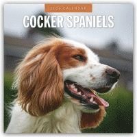 bokomslag Cocker Spaniels 2026 Square Wall Calendar