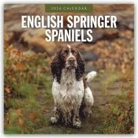 bokomslag English Springer Spaniels 2026 Square Wall Calendar