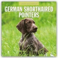 bokomslag German Shorthaired Pointers 2026 Square Wall Calendar