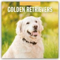bokomslag Golden Retrievers 2026 Square Wall Calendar