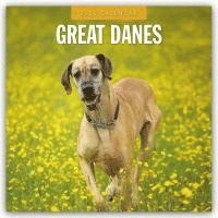 bokomslag Great Danes 2026 Square Wall Calendar