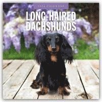 bokomslag Long-haired Dachshunds 2026 Square Wall Calendar