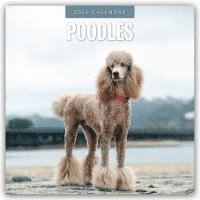 bokomslag Poodles 2026 Square Wall Calendar