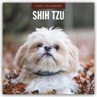bokomslag Shih Tzu 2026 Square Wall Calendar