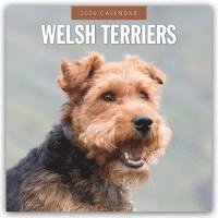 bokomslag Welsh Terriers 2026 Square Wall Calendar
