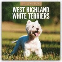 bokomslag West Highland White Terriers 2026 Square Wall Calendar