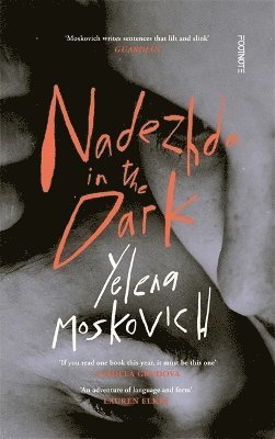 Nadezhda in the Dark 1