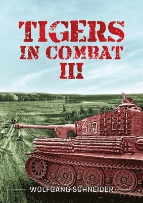 bokomslag Tigers in Combat - Volume III