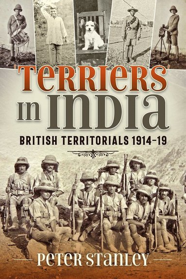 bokomslag Terriers in India