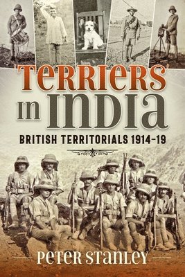Terriers in India: British Territorials 1914-19 1