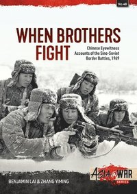 bokomslag When Brothers Fight