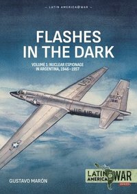 bokomslag Flashes in the Dark Volume 1