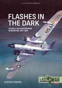 bokomslag Flashes in the Dark Volume 2