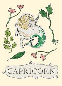 bokomslag Capricorn