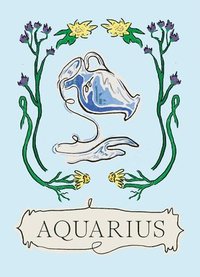 bokomslag Aquarius