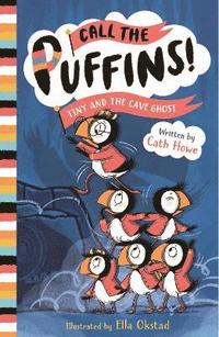 bokomslag Call the Puffins: Tiny and the Cave Ghost