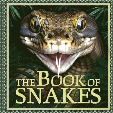 bokomslag The Book of Snakes