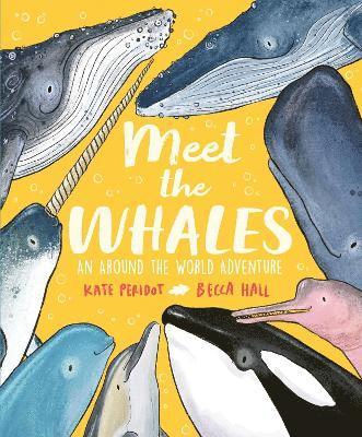 Kate Peridot - Meet the Whales, Inbunden