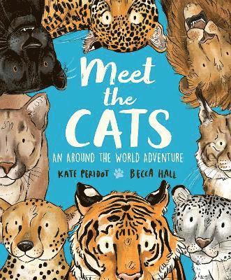 Kate Peridot - Meet the Cats, Häftad