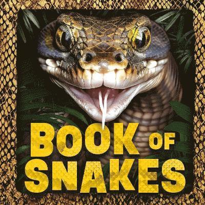 Welbeck Children's Books - Book of Snakes, Häftad