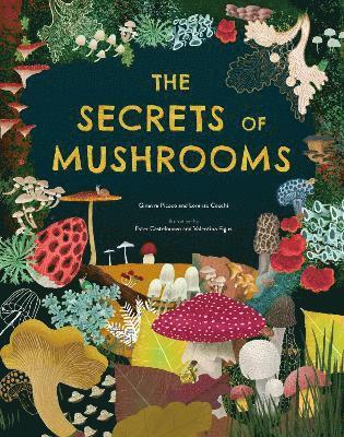 The Secrets of Mushrooms 1