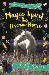 bokomslag Magic Spirit the Dream Horse