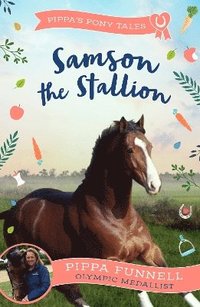 bokomslag Samson the Stallion