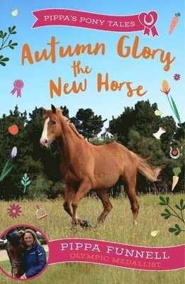 Autumn Glory the New Horse 1