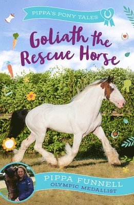 Goliath the Rescue Horse 1