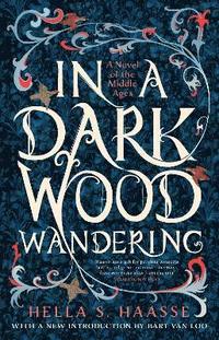 bokomslag In a Dark Wood Wandering