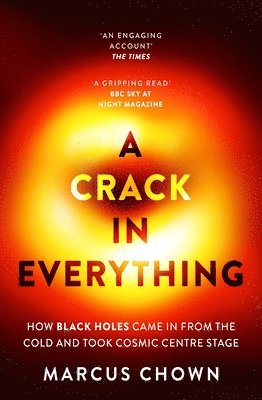 bokomslag Crack in Everything