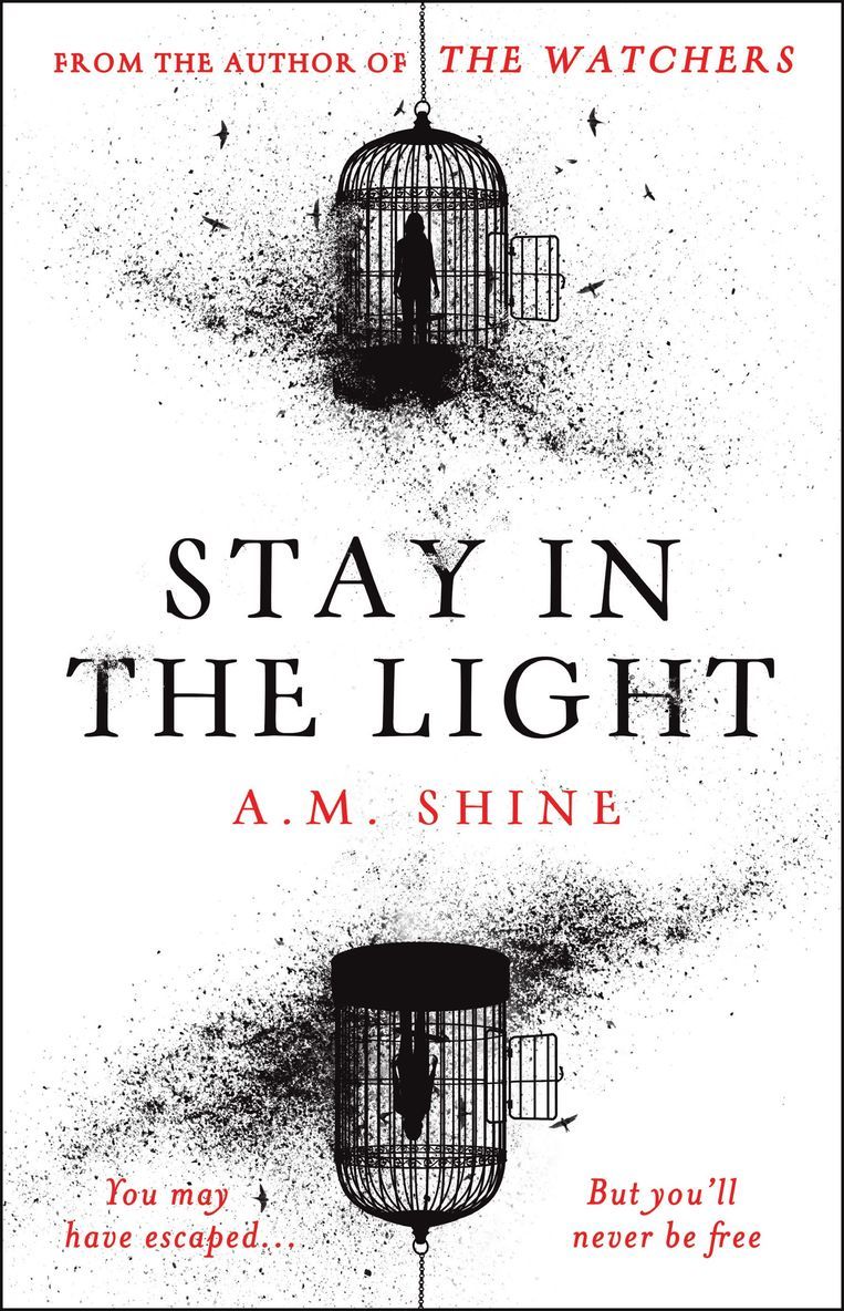 A.M. Shine, A. M. Shine, A M Shine - Stay in the Light, Inbunden