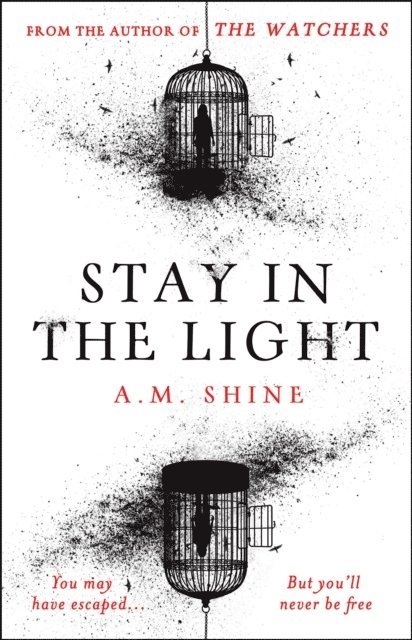 A.M. Shine, A M Shine - Stay in the Light, Häftad