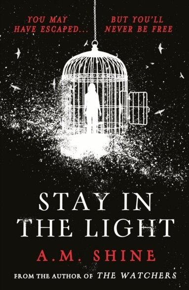 A.M. Shine - Stay in the Light, Häftad
