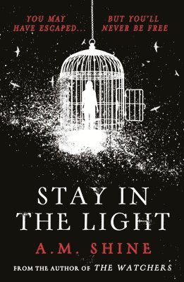 A.M. Shine, A. M. Shine - Stay in the Light, Häftad