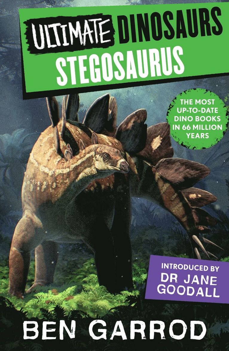 Stegosaurus 1