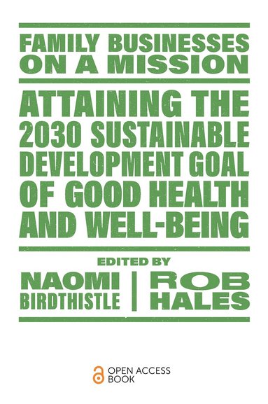 Naomi Birdthistle, Rob Hales - Attaining the 2030 Sustainable Development Goal of Good Health and Well-Being, Häftad