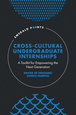 bokomslag Cross-Cultural Undergraduate Internships